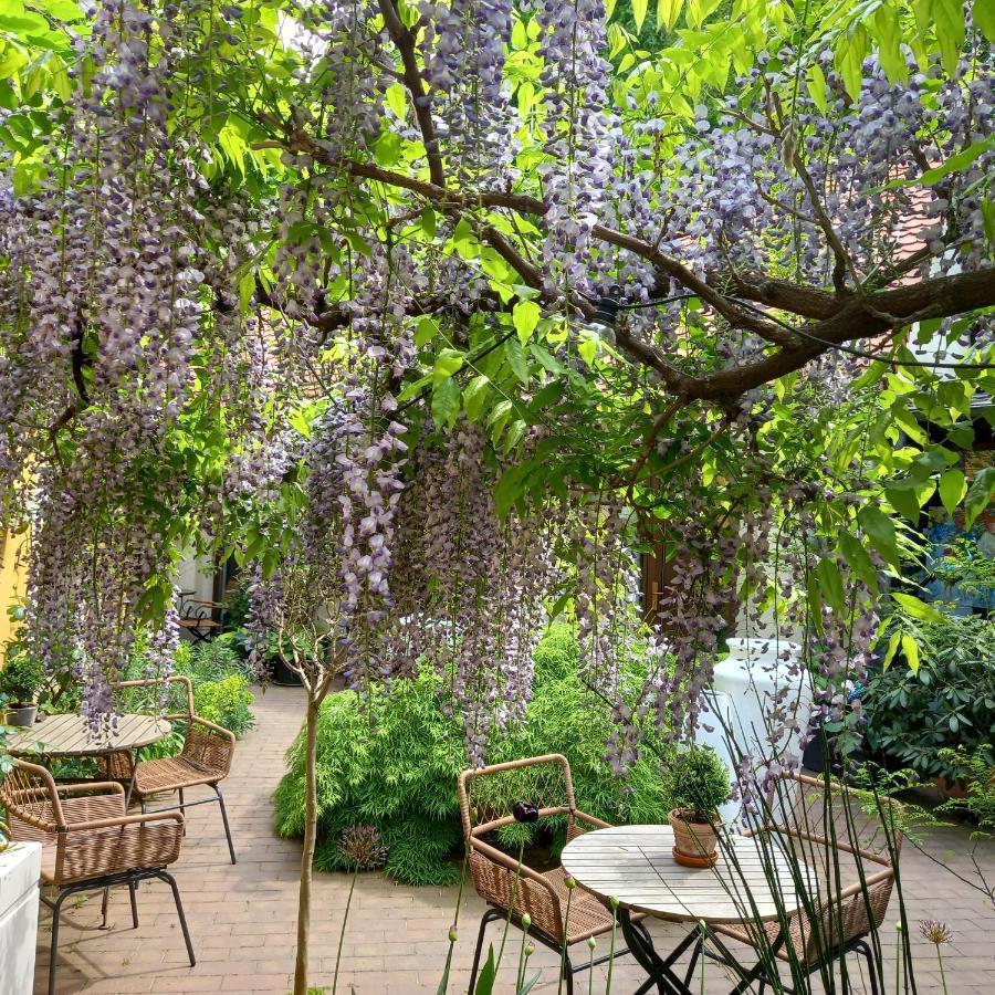 Faehrhaus Meissen B&B Экстерьер фото