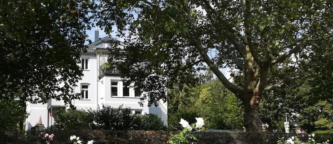 Faehrhaus Meissen B&B Экстерьер фото